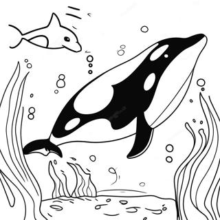 Orca Ausmalbilder