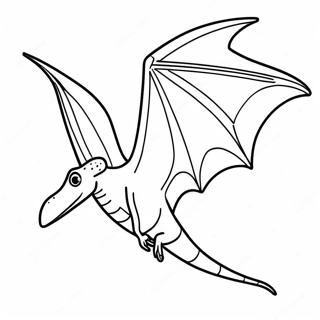 Fliegender Pteranodon Ausmalbild 59494-47084